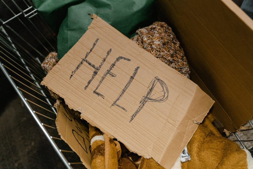 Besoins et les moyens de l'hébergement d'urgence en France