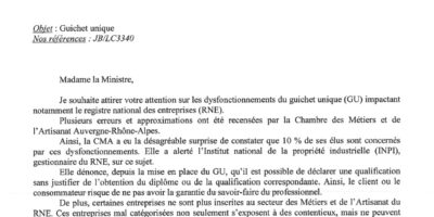 Dysfonctionnements du guichet unique