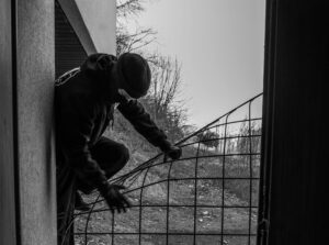 Recrudescence des vols et atteintes aux biens en zones rurales