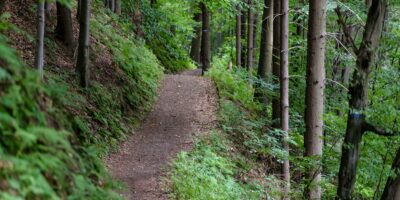 Réforme du critère de voirie pour la dotation de solidarité rurale (DSR)